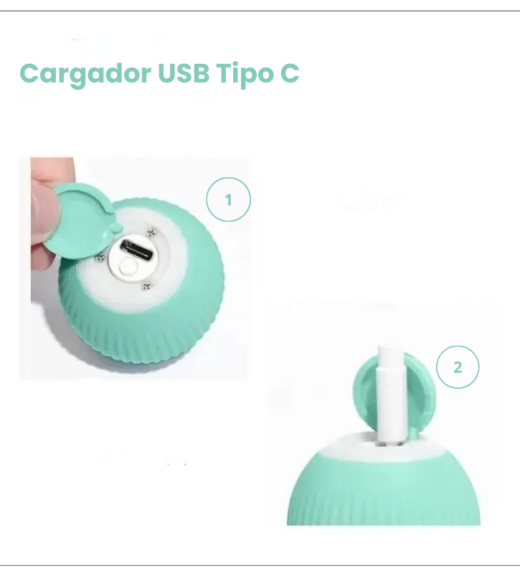 Cargador USB Tipo C