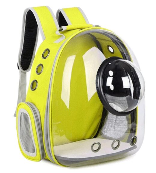 main-image-16